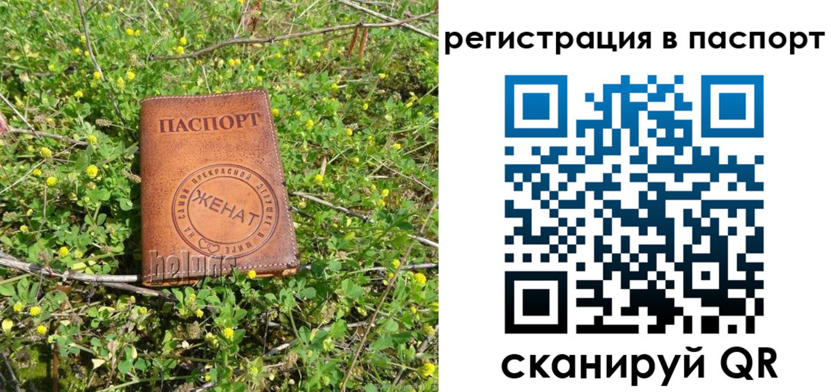 прописка законно в Снежногорске